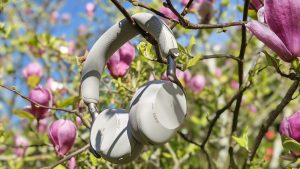 Le Jabra Evolve3 75 adopte un format supra-auriculaire. Léger, plus respirant, il se fait vite oublie (Photo Objets du Futur)